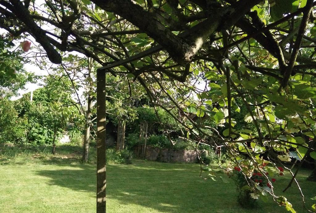 Gentil'Home - Toulouse B&B Prestige Fenouillet  Bagian luar foto